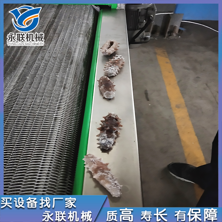 海鲜速冻机 鱼虾速冻隧道 生蚝单冻机