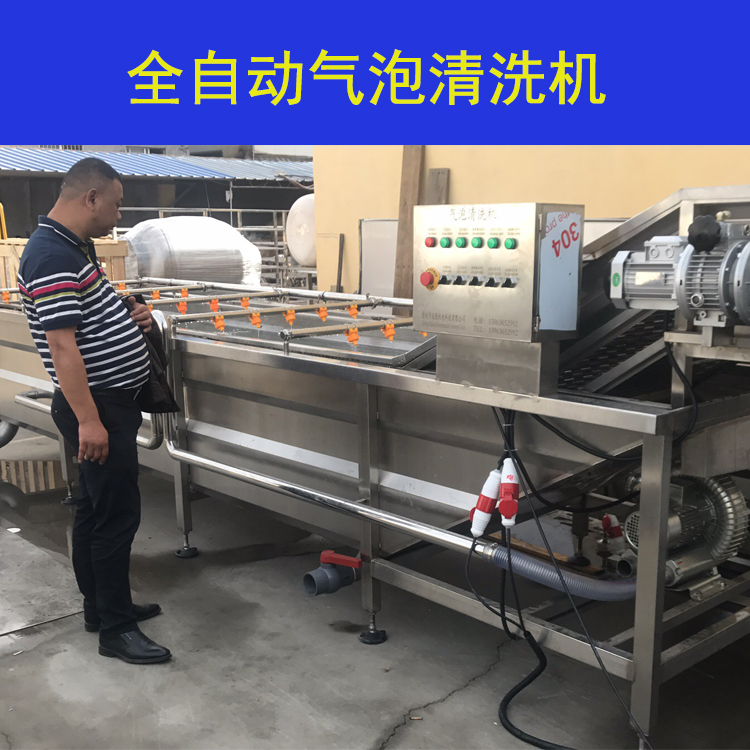 蔬菜清洗设备，小型洗菜机器
