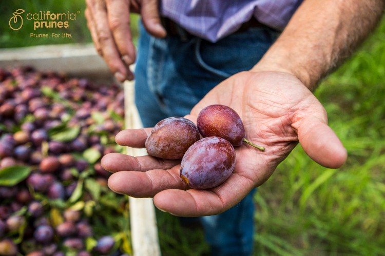 California Prunes