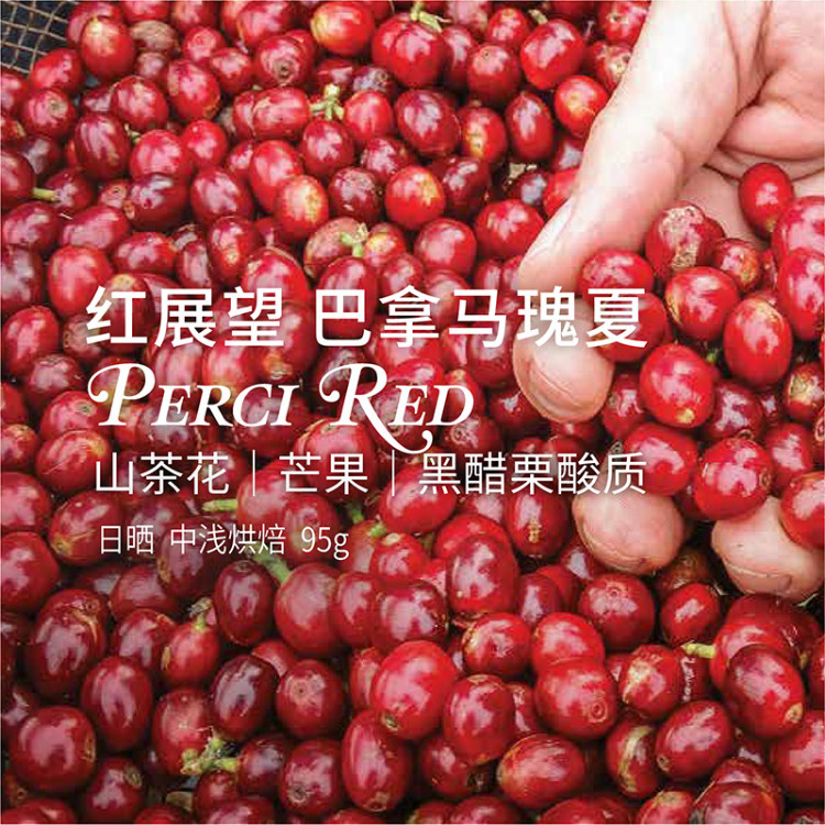 【运费到付】【2018新季豆】90+巴拿马 红展望95g/罐礼盒装