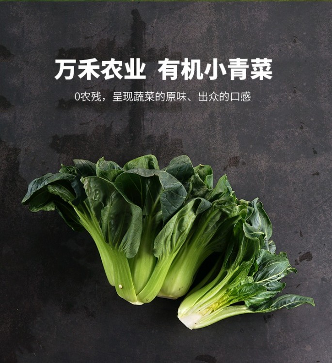 有机小青菜
