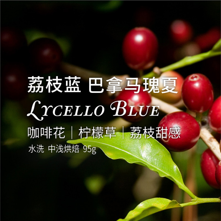 【运费到付】【4种规格可选】【2018季咖啡豆】90+巴拿马 荔枝蓝95g/罐