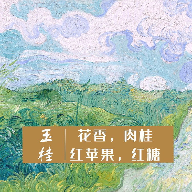 宸滟咖啡 梵高油画系列 哥斯达黎加厌氧肉桂 手冲豆/挂耳/冷萃