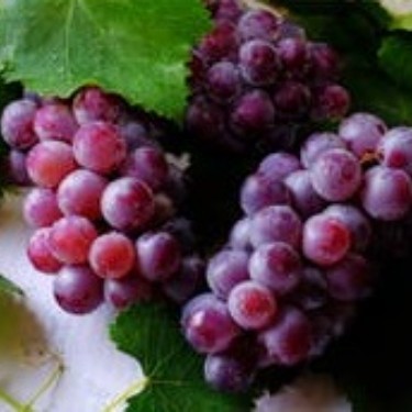 去离子型浓缩葡萄汁 Deionized Grape Juice Concentrate