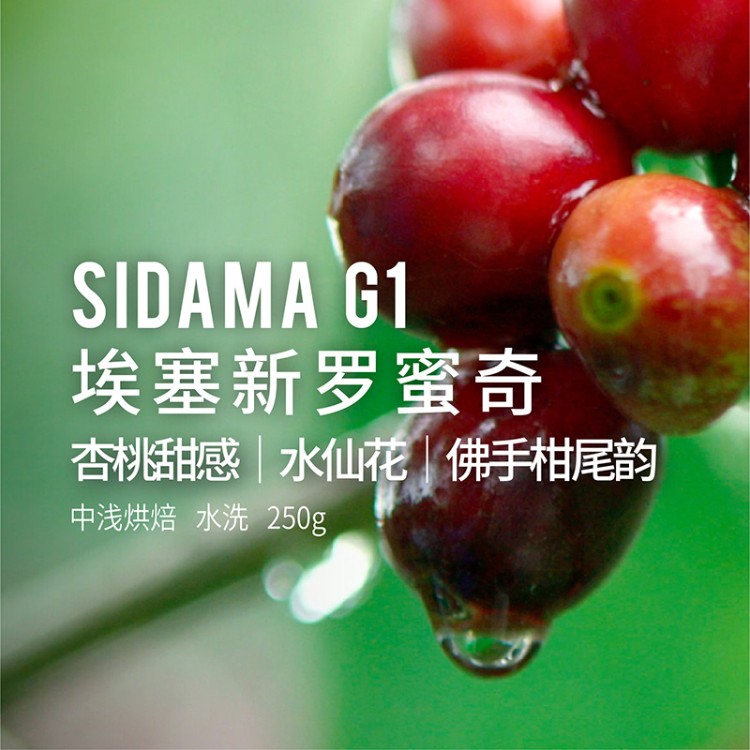 【运费到付】2018熟豆埃塞 新罗蜜奇 (水洗) 250克/袋*20袋/箱