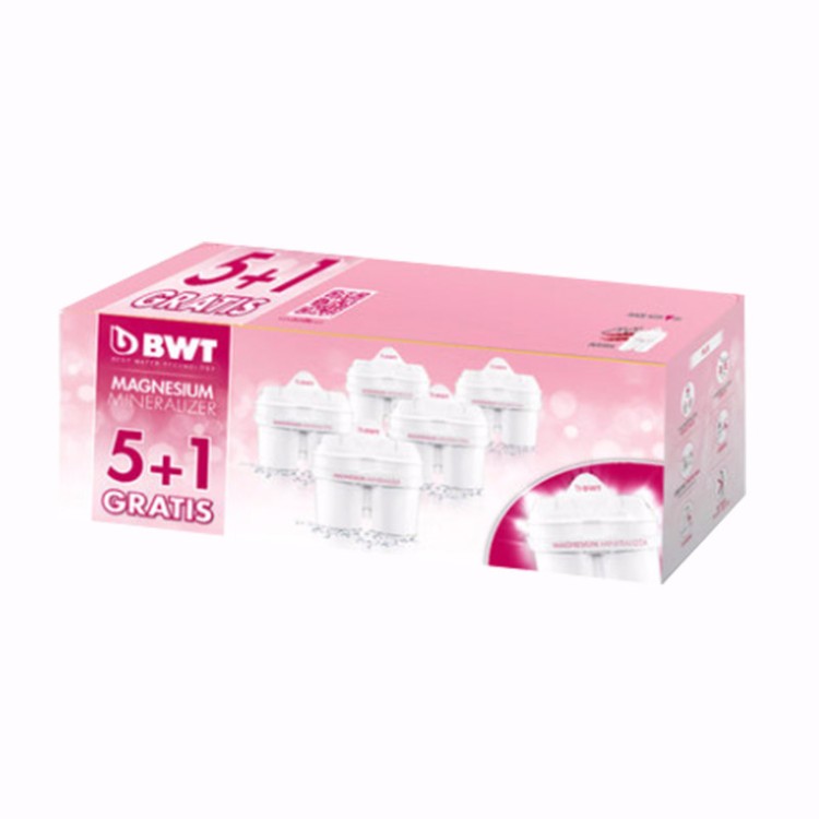 【运费到付】BWT滤芯6只装