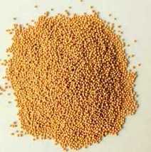 芥末籽 1kg